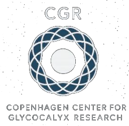 Copenhagen Center for Glycocalyx Research