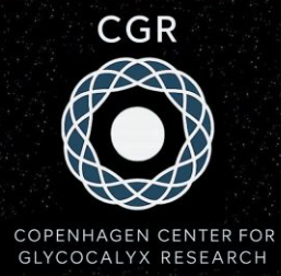 Copenhagen Center for Glycocalyx Research