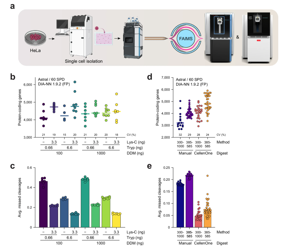 Single-cell proteomics workflow and benchmarking results, Hendriks et al. 2026