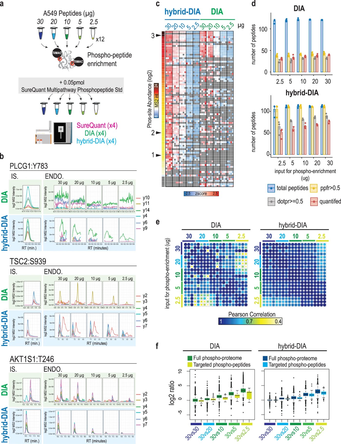 Hybrid-DIA benchmarking against DIA across phosphopeptide input amounts, Martínez-Val et al. 2023