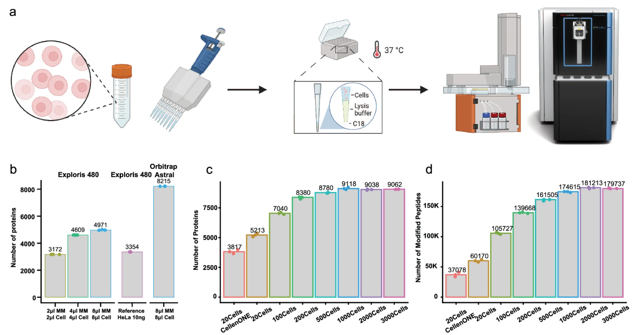 One-Tip workflow and protein identifications across cell inputs, Ye et al. 2024