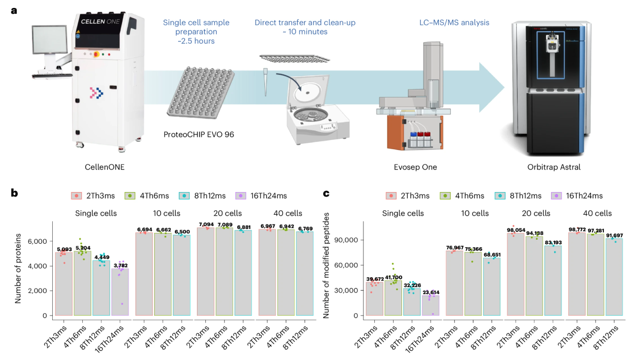 Chip-Tip single-cell proteomics workflow and protein identifications, Ye et al. 2025